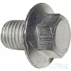 Śruba napinacza łańcucha rozrządu  139QMB/QMA (GY6 50) 4T