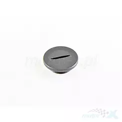 Zaślepka kontrolna rozrządu QJMotor 169166030030