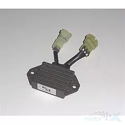 Regulator napięcia Tourmax RGU-242