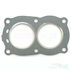 Uszczelka głowicy Athena S610245001017, Johnson Envirude 4 HP (OEM 332010)