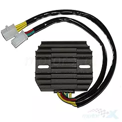 Regulator napięcia Electrosport ESR180