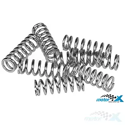 Sprężyny sprzęgła napędowego Vespa PX 125-150 euro 2 / euro 3 (8szt) Malossi