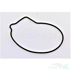 Oring, uszczelka pompy wody Benelli