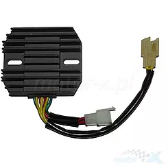 Regulator napięcia Electrosport ESR538