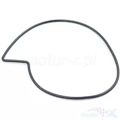 Uszczelka pompy wody Benelli BN 302