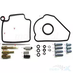 Zestaw naprawczy gaźnika Bearing Worx CK30627 (26-1333)