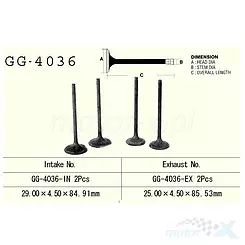 VESRAH - ZAWÓR SSĄCY SILNIKA  GG-4036-IN