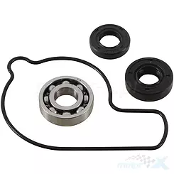 Zestaw naprawczy pompy wody Hot Rods WPK0001