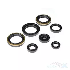Uszczelniacze silnika komplet Bearing Worx OSK70317 (822317)