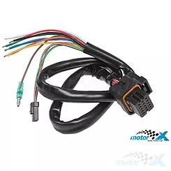 Wiązka do licznika Koso DB-01R