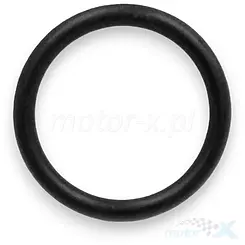 Oring korka wlewu oleju QJMotor 169316600000