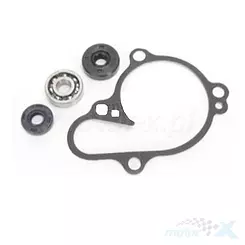 Zestaw naprawczy pompy wody Bearing Worx WMK90003 (WPK0020)