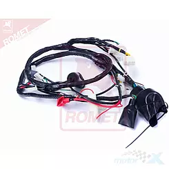 Instalacja elektryczna R125 CVT