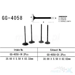 Zawór ssący Vesrah GG-4058-IN
