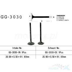 Zawór ssący Vesrah GG-3030-IN