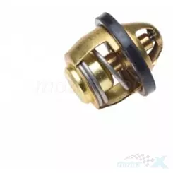 Termostat układu chłodzenia, 60°C otwarcie, WM Motor