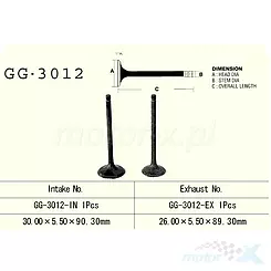 Zawór ssący Vesrah GG-3012-IN