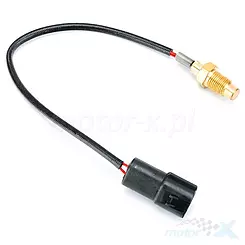 Czujnik temperatury Romet Ogar Caffe od 2022