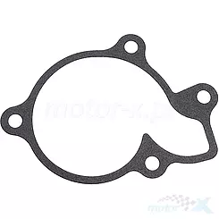 Uszczelka pompy wody QJMotor 279344460000