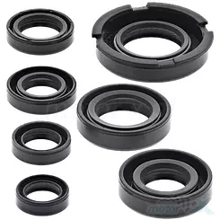 Uszczelniacze silnika komplet Winderosa Honda XR250L 91-96, XR250R 86-95