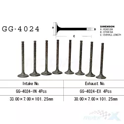 Zawór ssący Vesrah GG-4024-IN