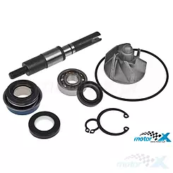 Zestaw naprawczy pompy wody RMS, Honda NES 125-150 00-06 / Panheon 125-150 4T / SES 125 Dylan 125-150 / SH 125-150 01-08