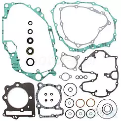 Uszczelki silnika komplet z uszczelniaczami Vertex 811829
