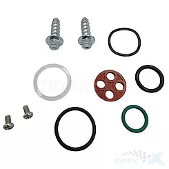 Zestaw naprawczy kranika Bearing Worx FCK60002 (60-1017)