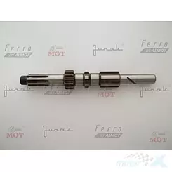 Wałek główny wsk 125 [WSK]