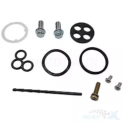 Zestaw naprawczy kranika Bearing Worx FCK30038 (60-1221)