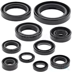 Uszczelniacze silnika komplet Bearing Worx OSK30265 (822265)