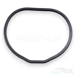 Oring króćca ssącego prepustnicy QJMotor SFA 1000