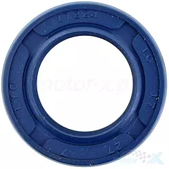 Uszczelniacz 17x27x7mm Power Force
