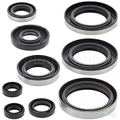 Uszczelniacze silnika komplet Bearing Worx OSK50296 (822296)