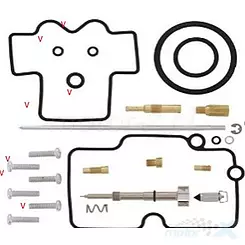 Zestaw naprawczy gaźnika Bearing Worx CK70876 (26-1464)