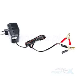Ładowarka buforowa 6WL 13,8/400 (12V/4-120Ah)