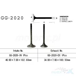 Zawór ssący Vesrah GG-2020-IN