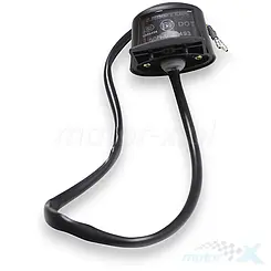 Lampa tablicy rejestracyjnej QJMotor TRX 125