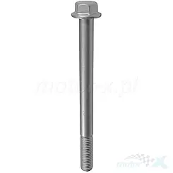 Śruba M10x120mm QJMotor SFA 1000