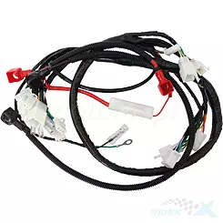 Instalacja elektryczna Barton Pentora