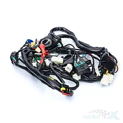 Instalacja elektryczna Router RXL 50 2024 Euro 5