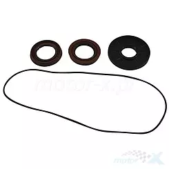 Uszczelniacze dyferencjału tylnego All Balls (25-2088-5) Polaris Ranger / RZR / Diesel