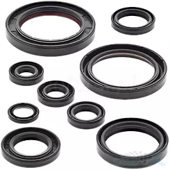 Uszczelniacze silnika komplet Bearing Worx OSK30315 (822315)