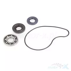 Zestaw naprawczy pompy wody Bearing Worx WMK90004 (WPK0017)