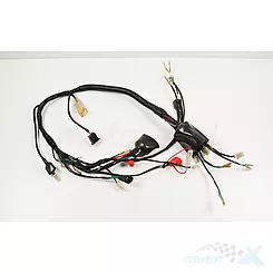 Instalacja elektryczna Barton Flex / Moto Ventus Natio