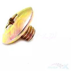 Wkręt M6x6mm napinacza łańcucha rozrządu