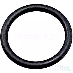 Oring 18,72x2,62mm QJMotor 280216240000