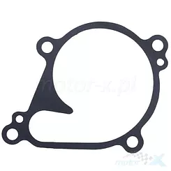 Uszczelka pompy wody Athena S410250024030