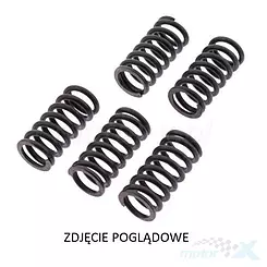 Sprężyny sprzęgła napędowego 3 sztuki TRW Lucas MEF349