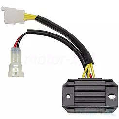 Regulator napięcia Electrosport ESR137